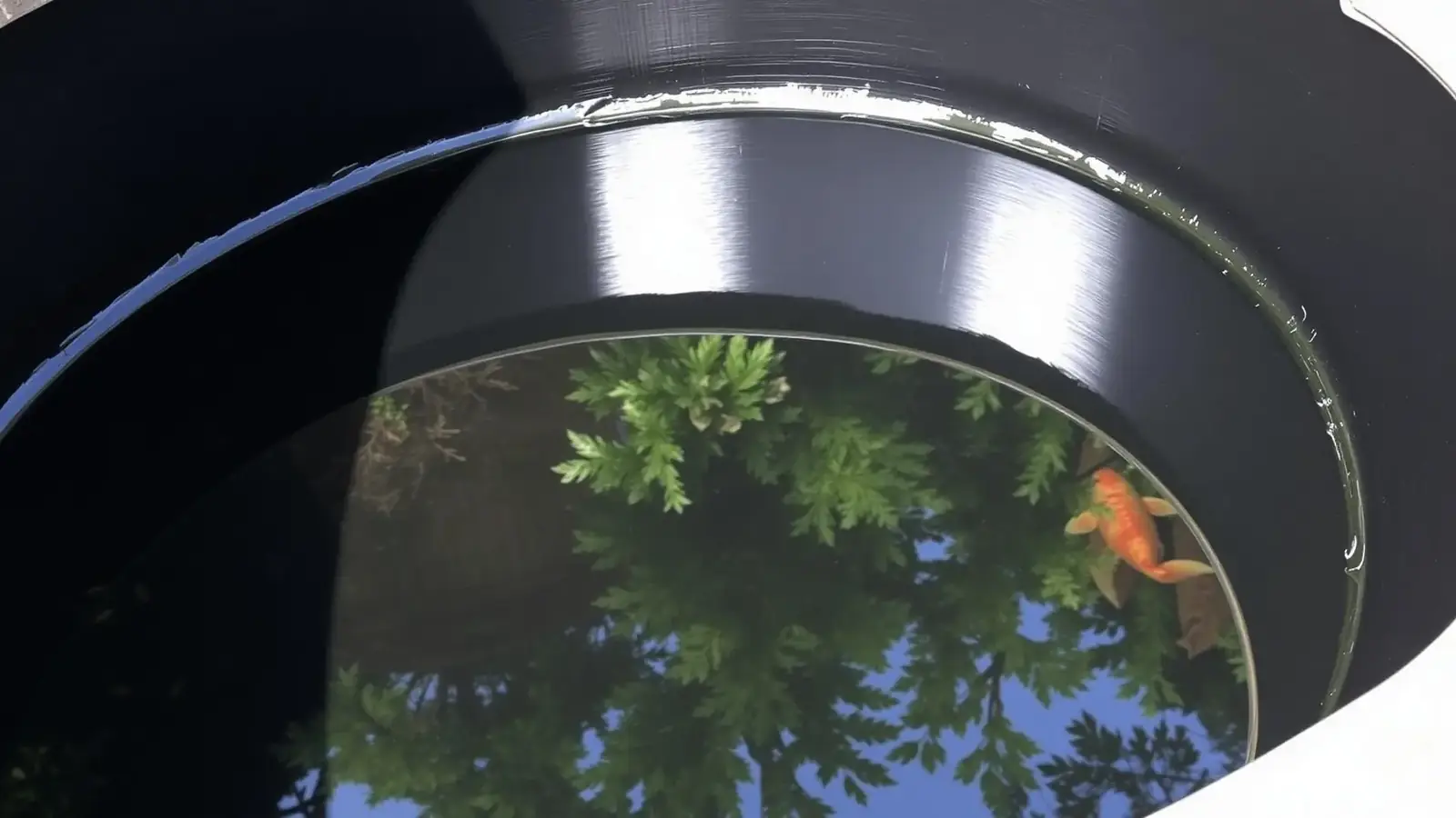 Glossy black brush-applied fibreglass coating on a concrete koi pond in a UK garden